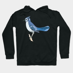 Blue Jay Digital Painting Hoodie